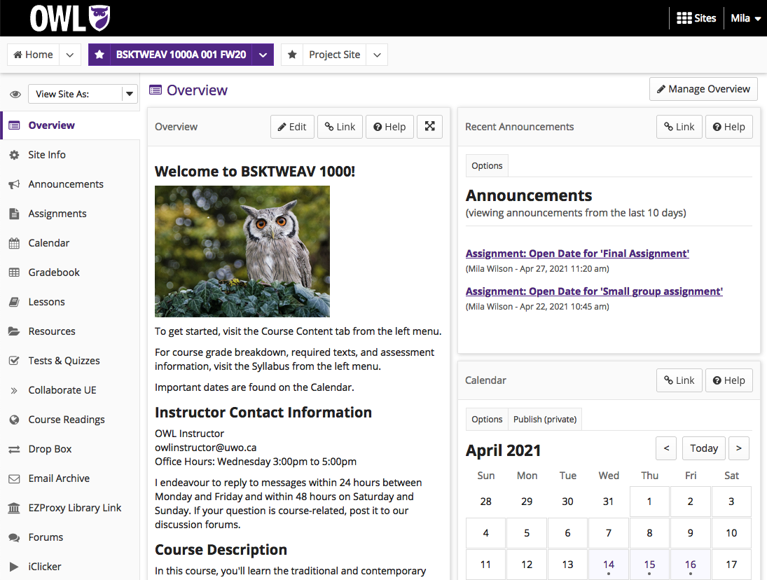 The Overview page of a course site in OWL